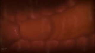 ���ம்மிங், உள்ளே கருவில்